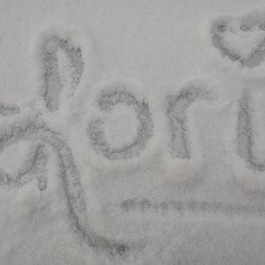 Meet your Posher, Lori